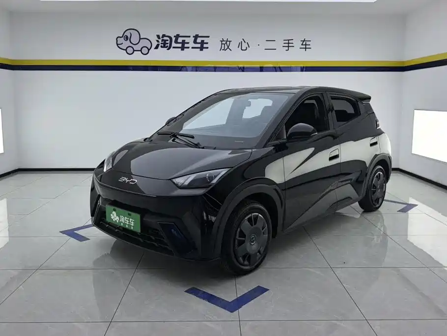 BYD Seagull 2025