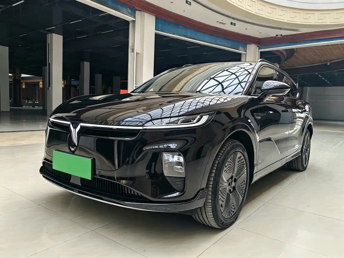 Voyah Auto Voyah Zhiyin
