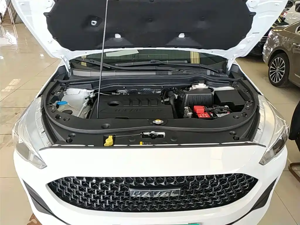 Haval M6 2019 1.5T DCT 2WD Elite Type China VI фото 20