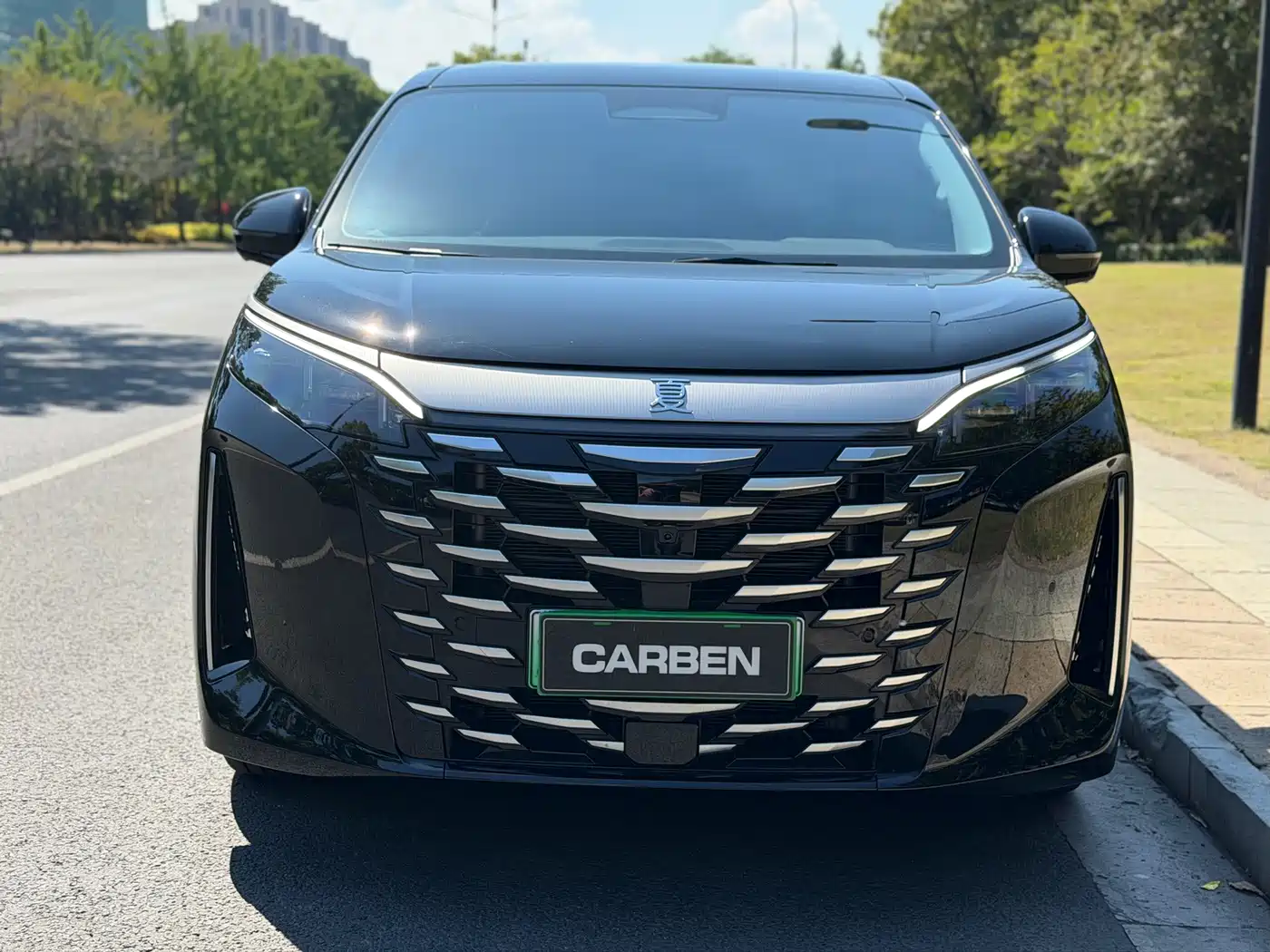 BYD Xia 2025 2025 DM-i 1.5T 180km Surpass Edition
