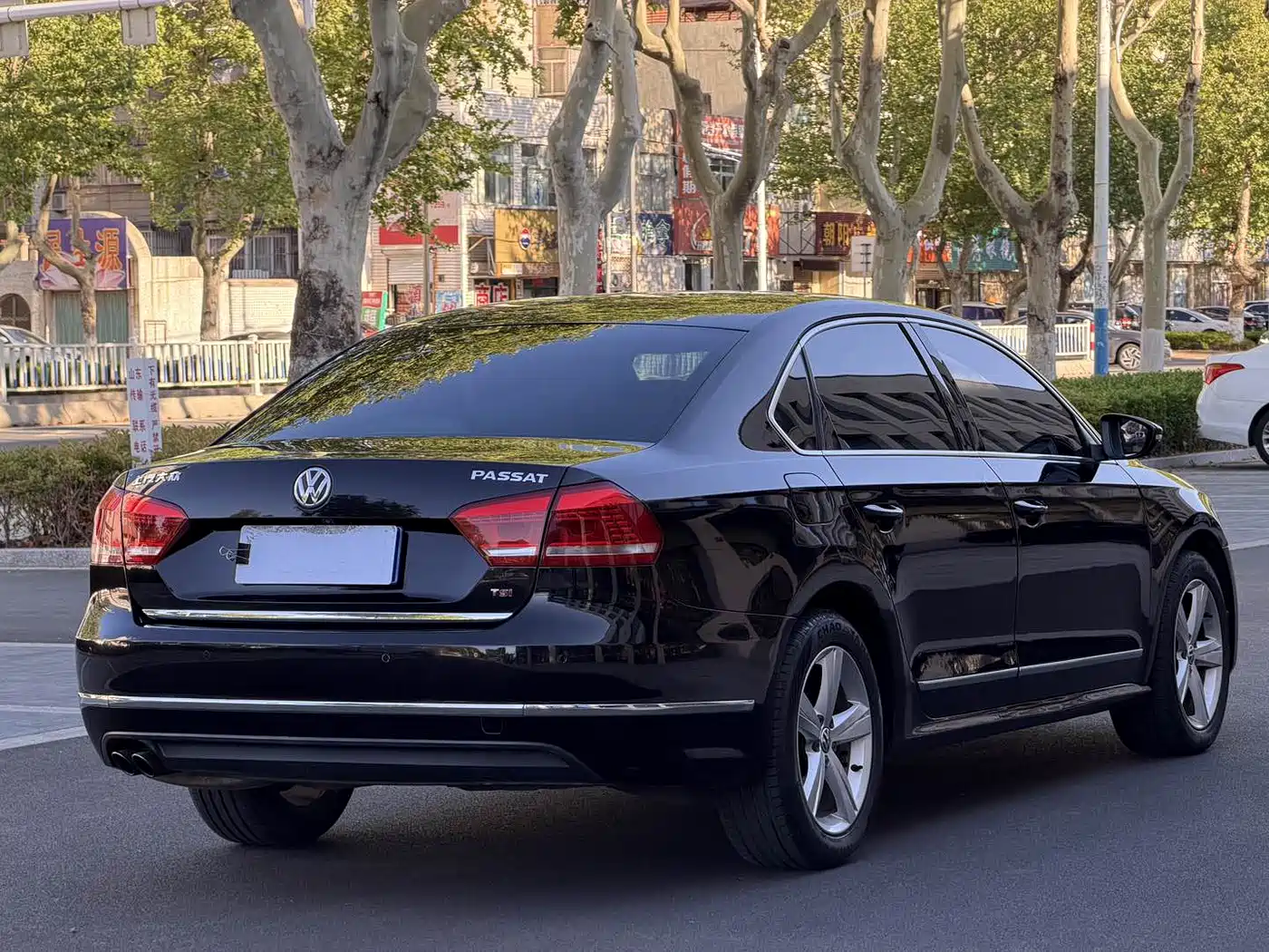 Volkswagen Passat 2014 1.8TSI DSG Executive Edition фото 6