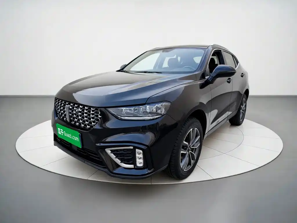 2021 WEY VV5