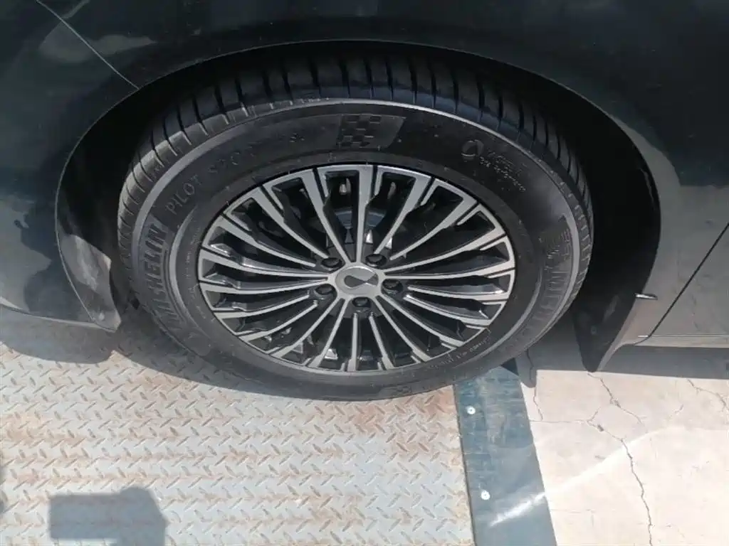 Denza D9 2022 DM-i 970 AWD Flagship фото 23