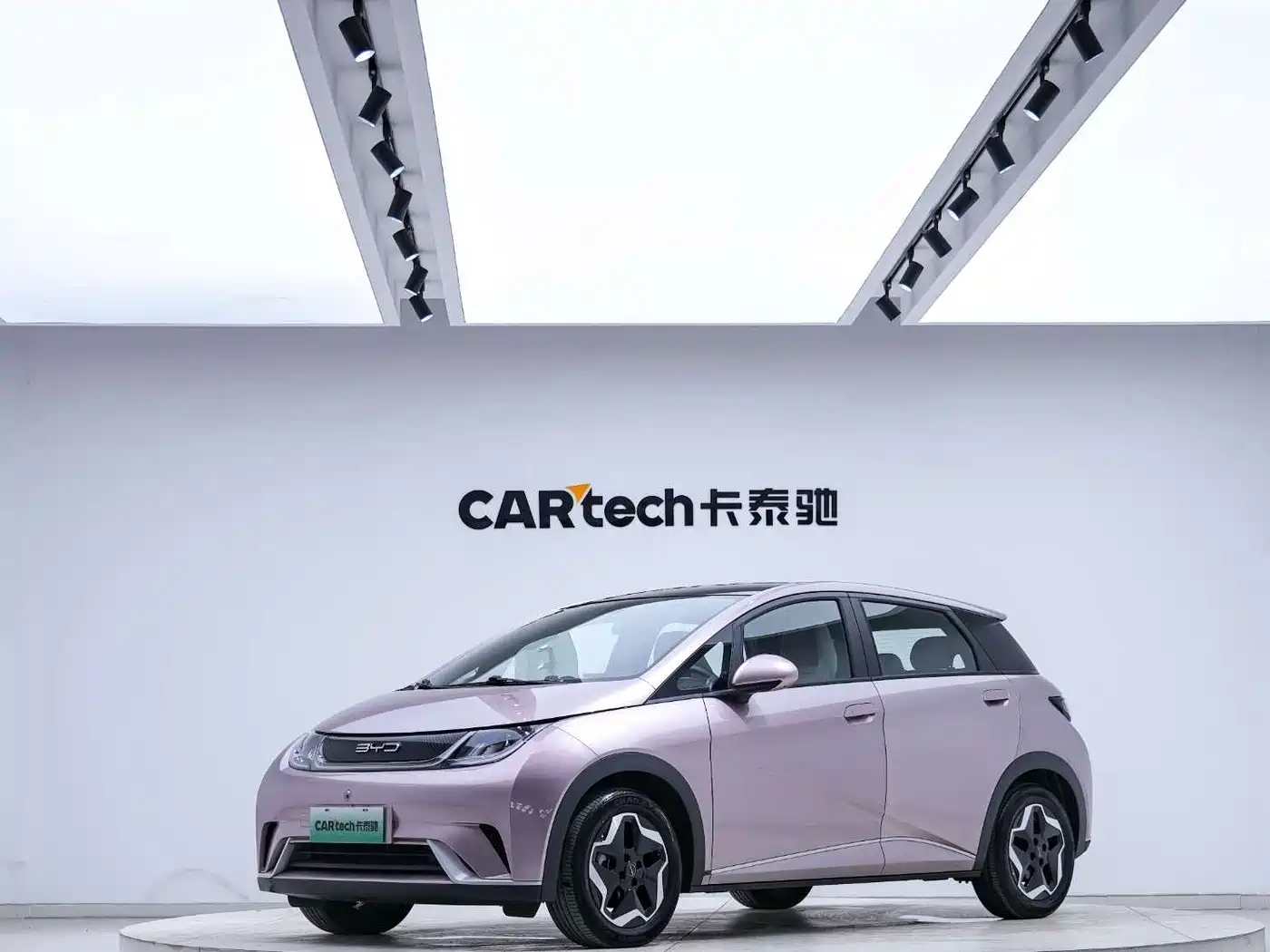 BYD Dolphin 2021