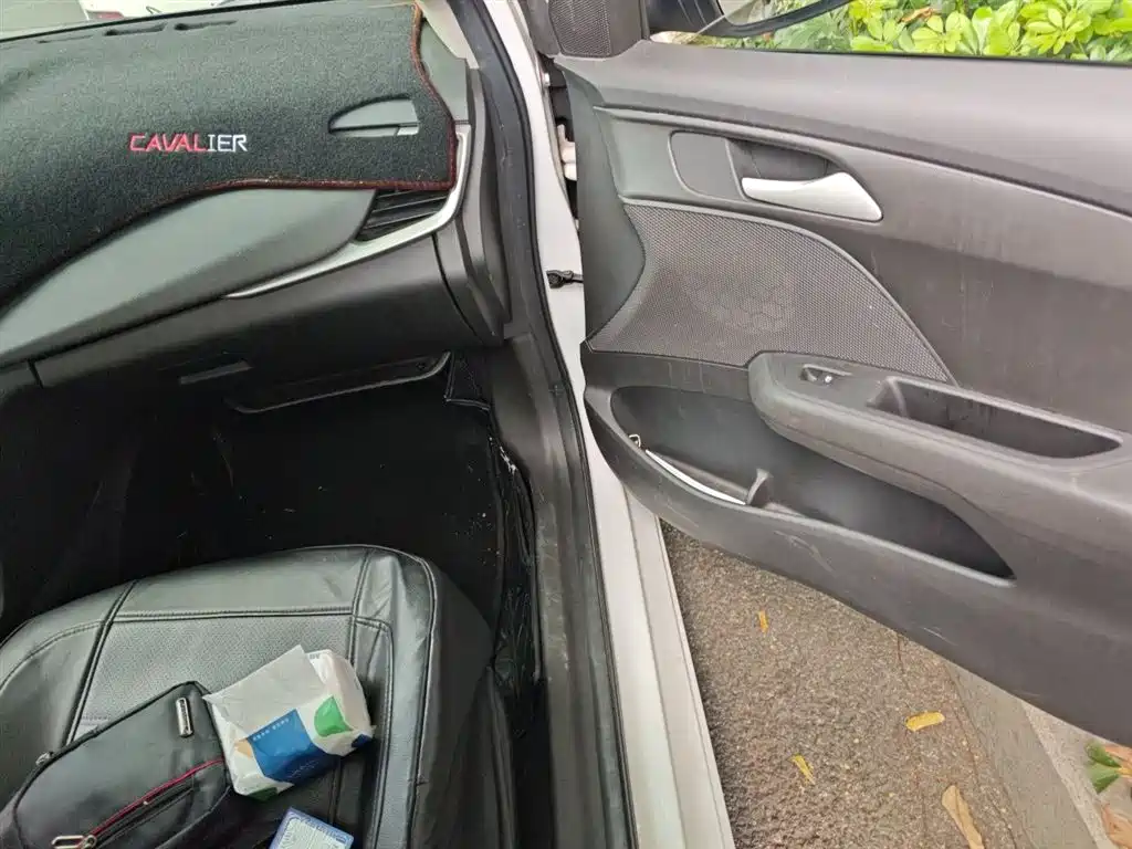 Chevrolet Cavalier 2018 320 Auto Enjoy Sunroof Edition фото 20