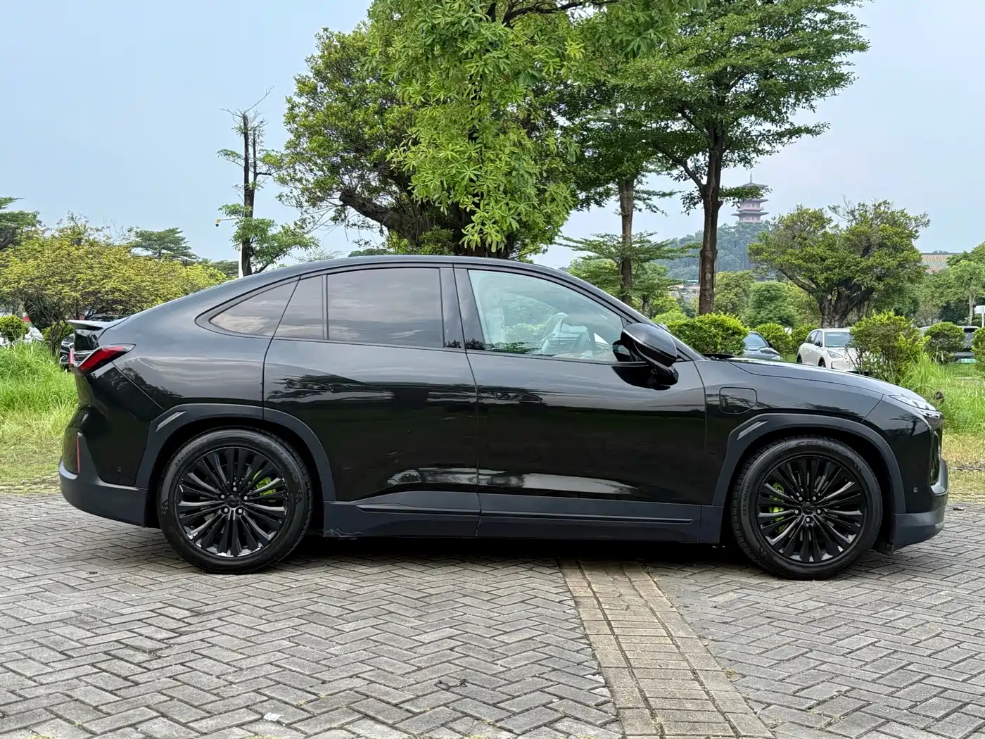 NIO EC6 2021 2020 Model 615KM Performance Edition