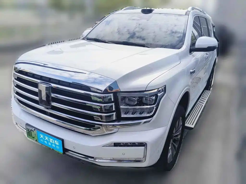 Tank 500 EV 2024 — пригон из Китая