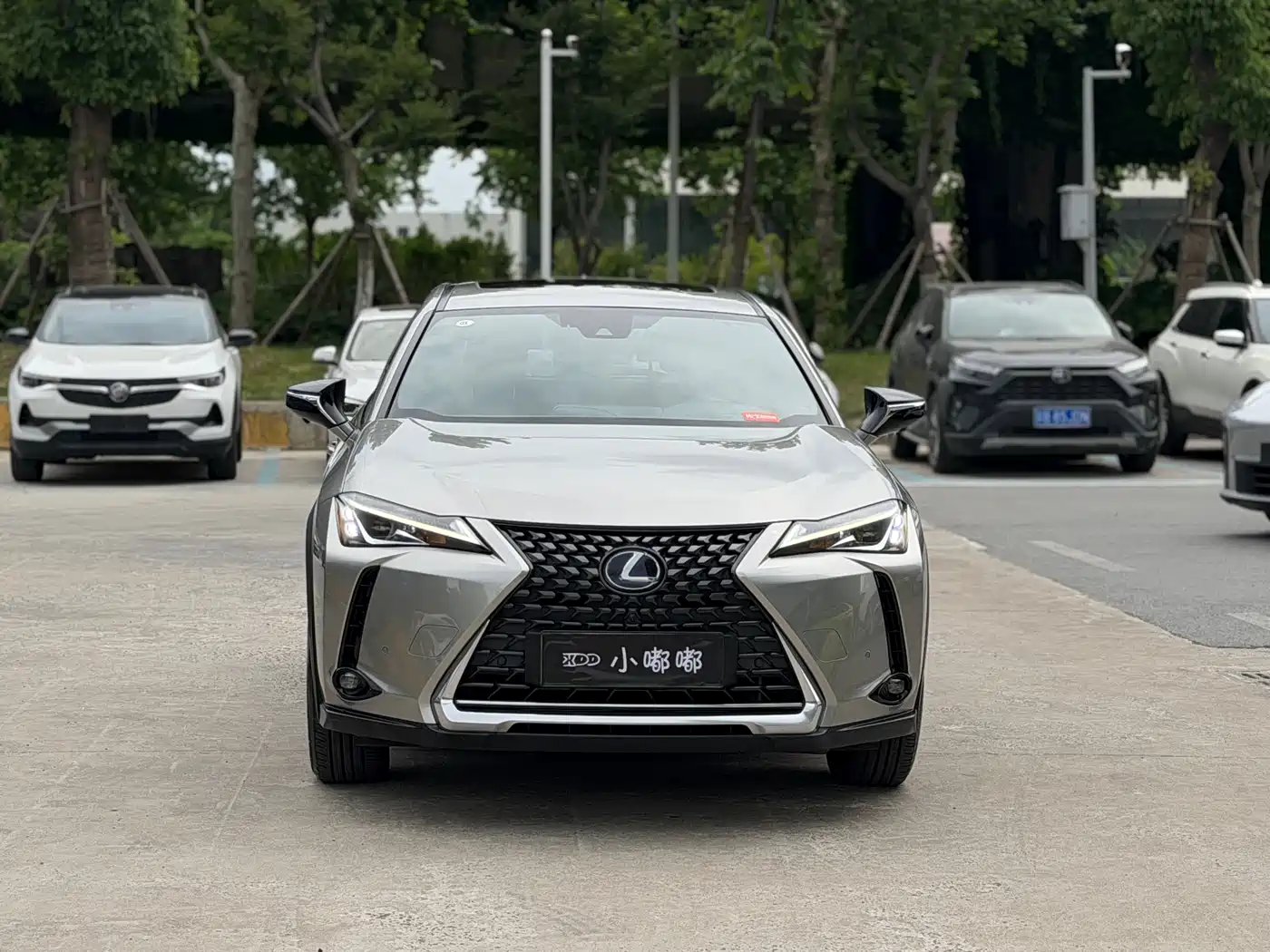 Lexus UX Electric 2020 300e Pure Yue Edition фото 2