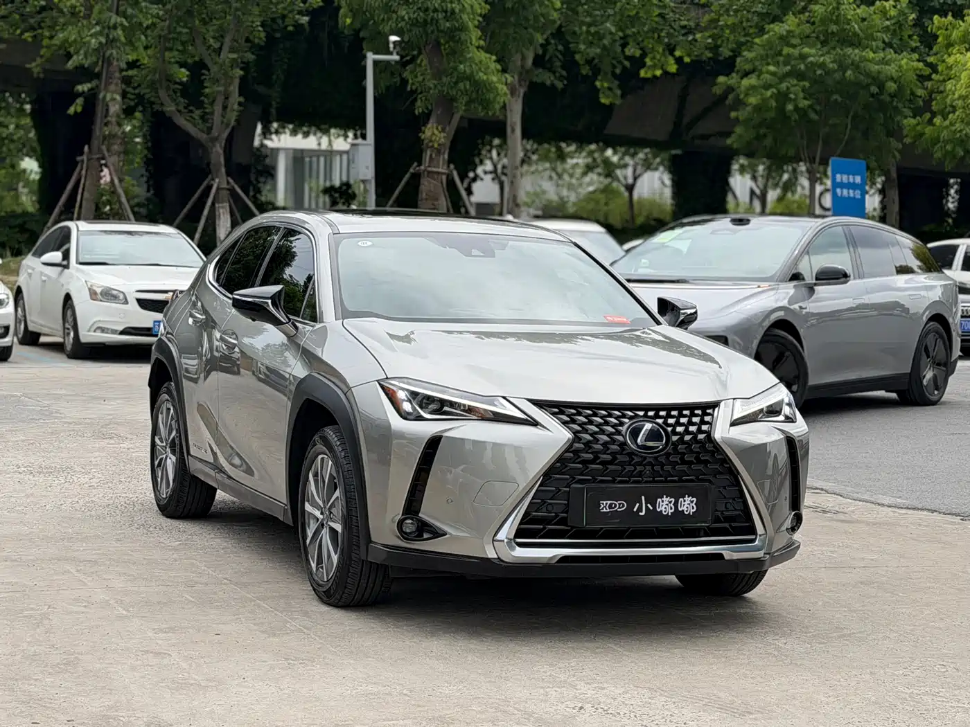 Lexus UX Electric 2020 300e Pure Yue Edition фото 3