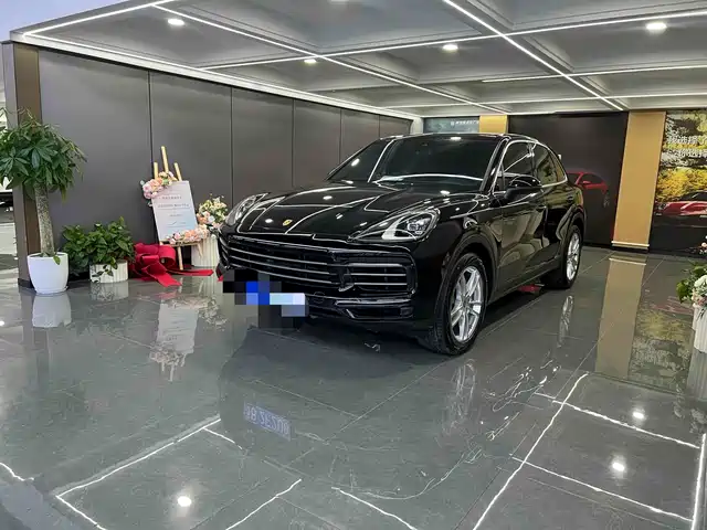  Porsche Cayenne 2022 Cayenne 3.0T Platinum Edition