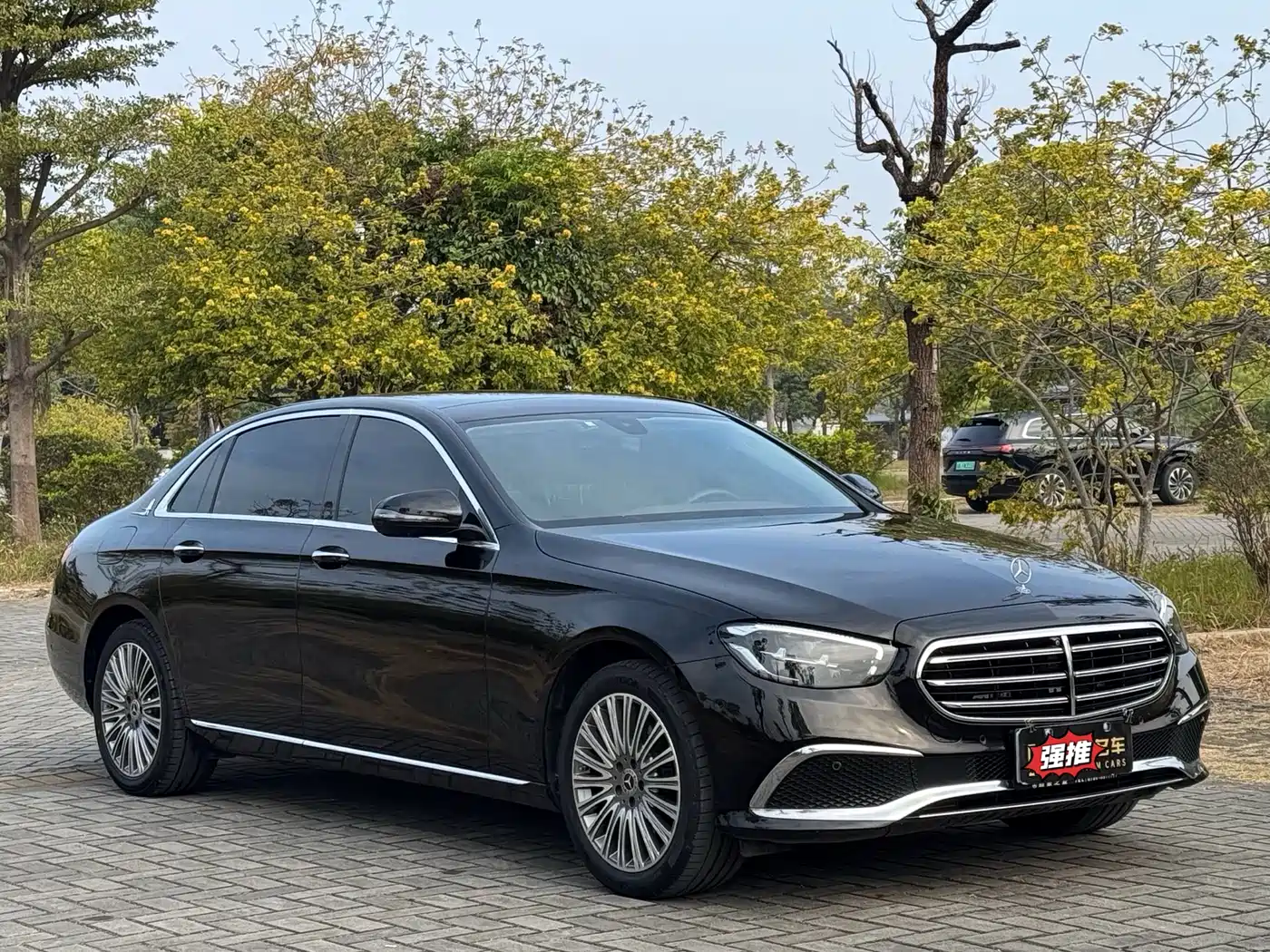 Mercedes-Benz E-Class 2021 E 300 L Luxury фото 5