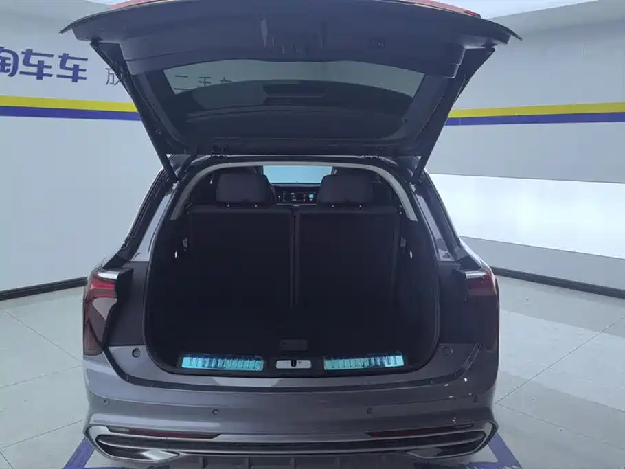 Hongqi E-HS9 2021 460km Flagship Comfort 6-seater фото 4