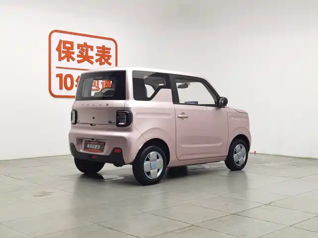Geely Galaxy Panda 2023 Panda Mini 200km Endurance Bear — фото 2