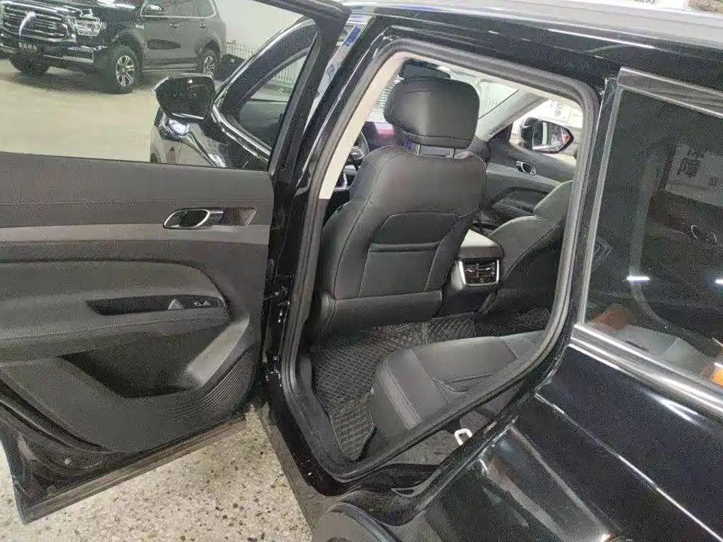 Ford Lingrui 2025 2025 EcoBoost 170 Platinum