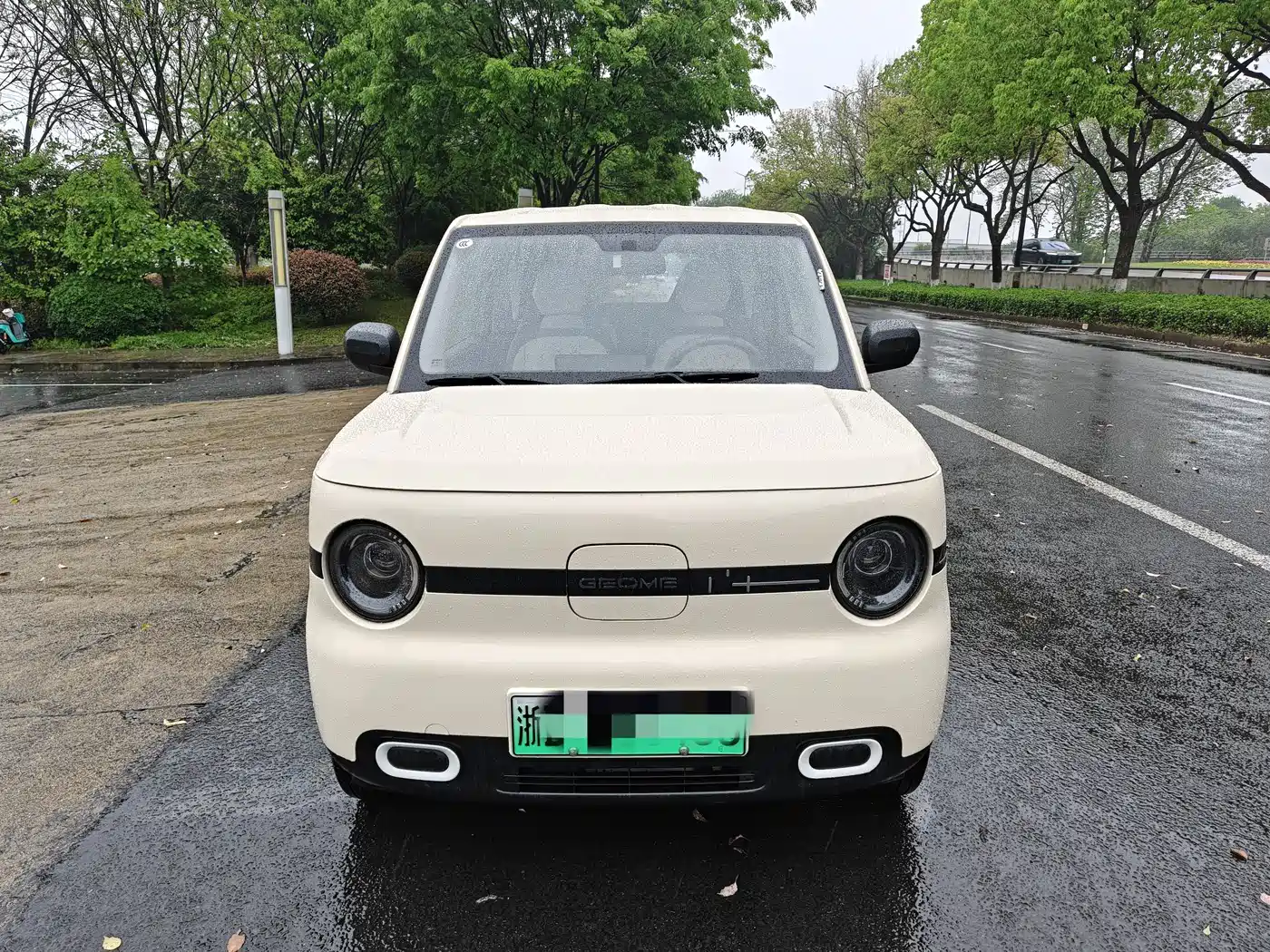 Geely Galaxy Panda 2025 Panda mini 210km Vitality Bear фото 2