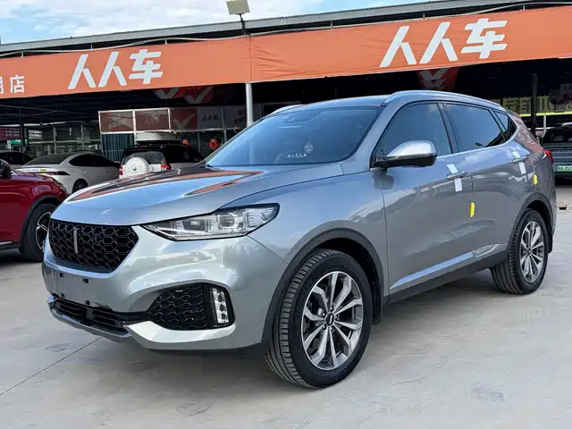 WEY VV6 2019