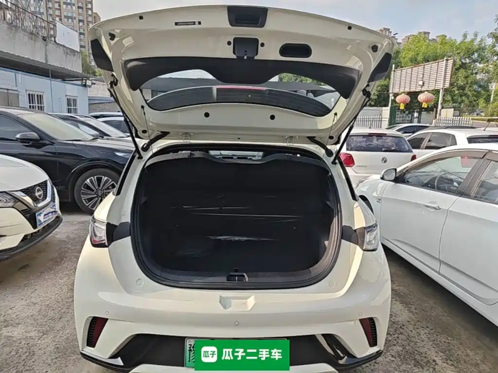 BYD Dolphin 2026 2025 420km Freedom Edition
