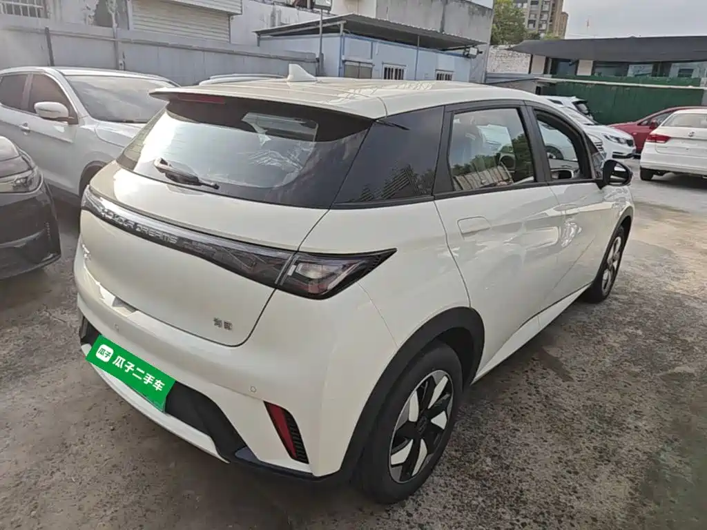 BYD Dolphin 2026 2025 420km Freedom Edition