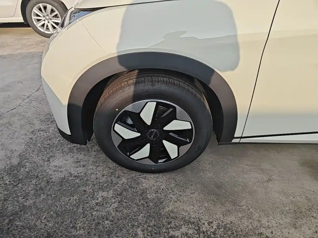 BYD Dolphin 2026 2025 420km Freedom Edition