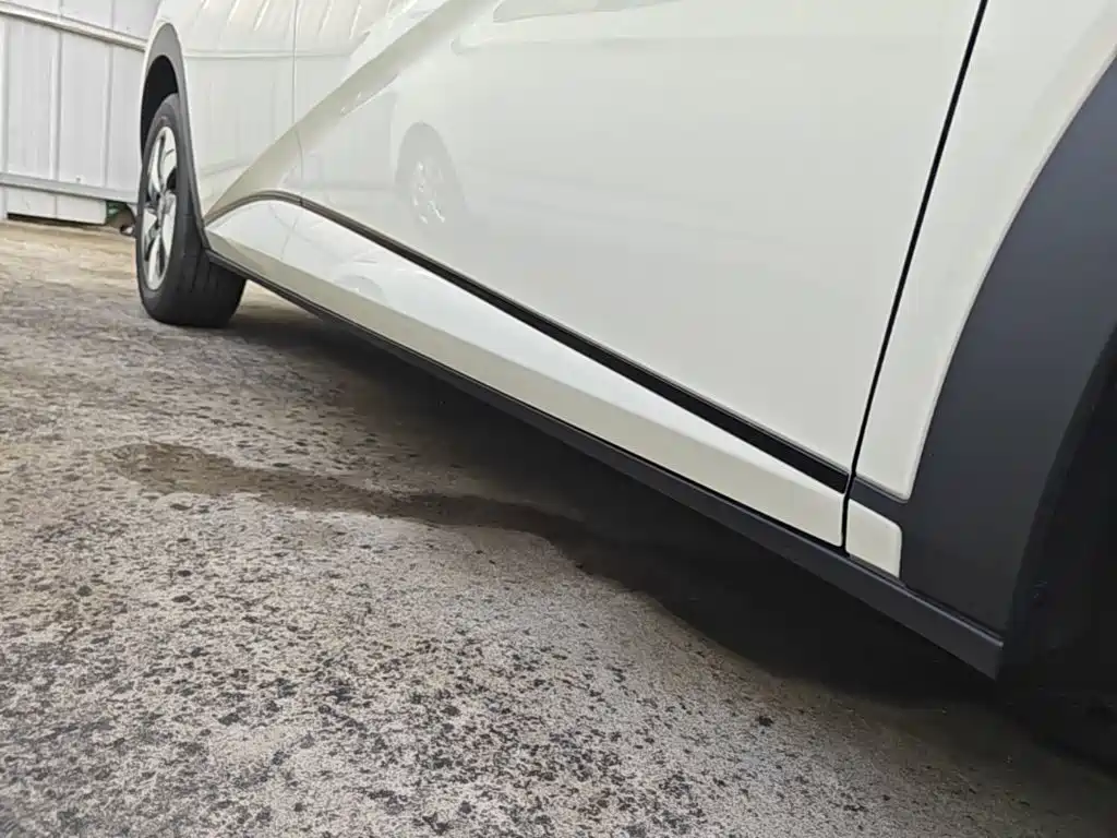 BYD Dolphin 2026 2025 420km Freedom Edition