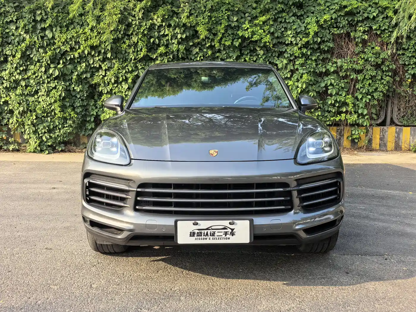 Porsche Cayenne 2019 Cayenne 3.0T фото 2