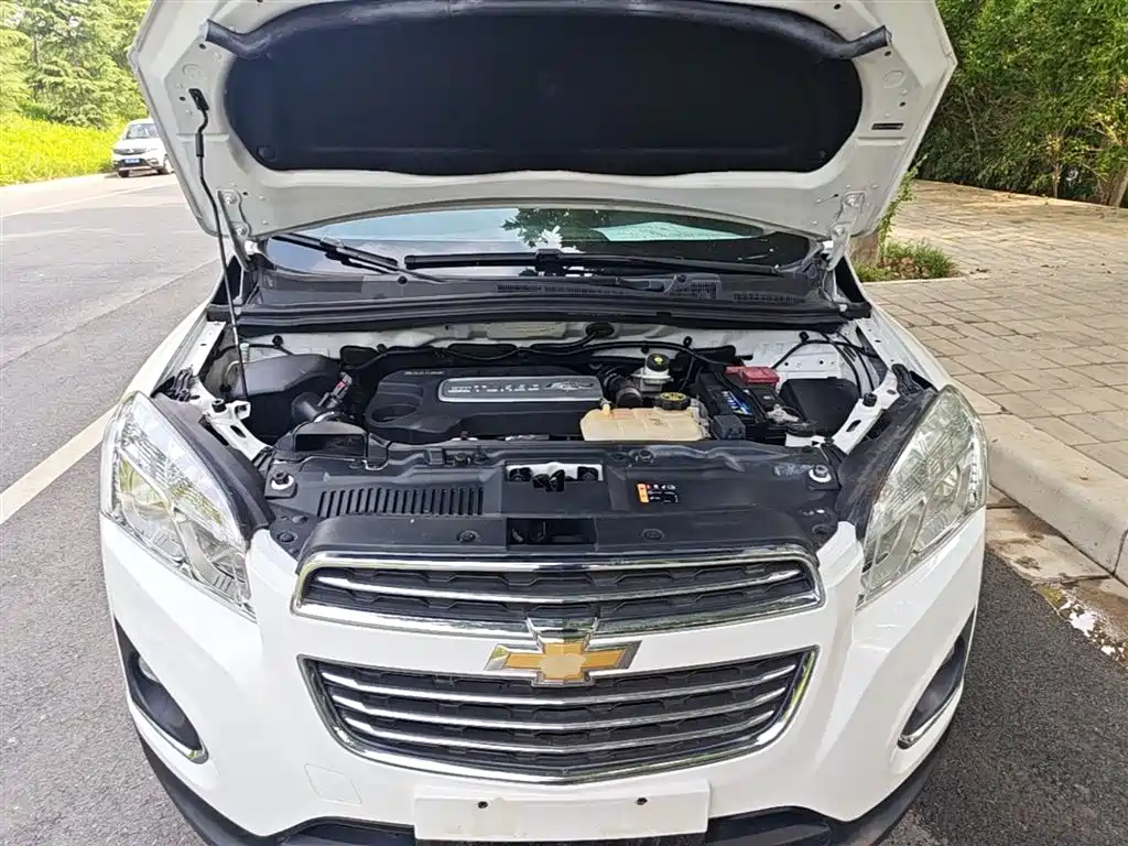 Chevrolet Trax 2016 1.4T Automatic 2WD Luxury фото 20