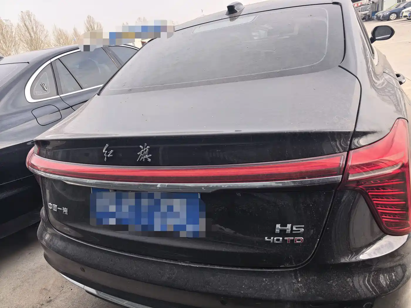 Hongqi H5 2025 2.0T Automatic Flag Celebration 500,000 Units Anniversary Edition фото 10