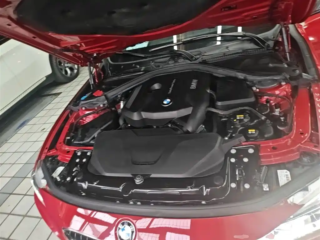 BMW 3 Series 2018 320Li Leading M Sport Package фото 20