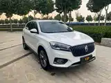 Фото 3 - Borgward BX7