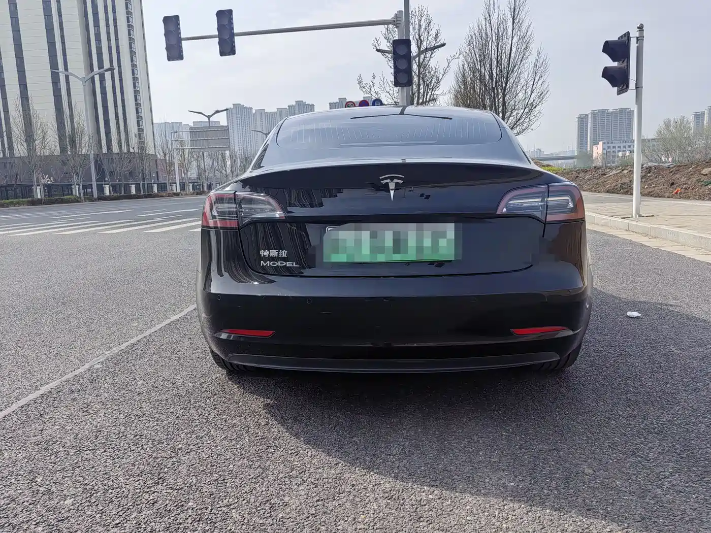 TESLA MODEL 3