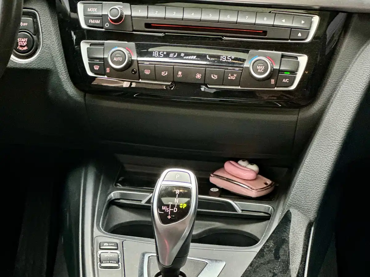 BMW 3 Series 2019 320Li M Luxury Package фото 15
