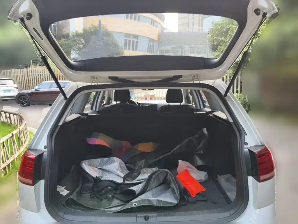 Volkswagen Golf (Import) 2019 2019 1.8TSI Wagon