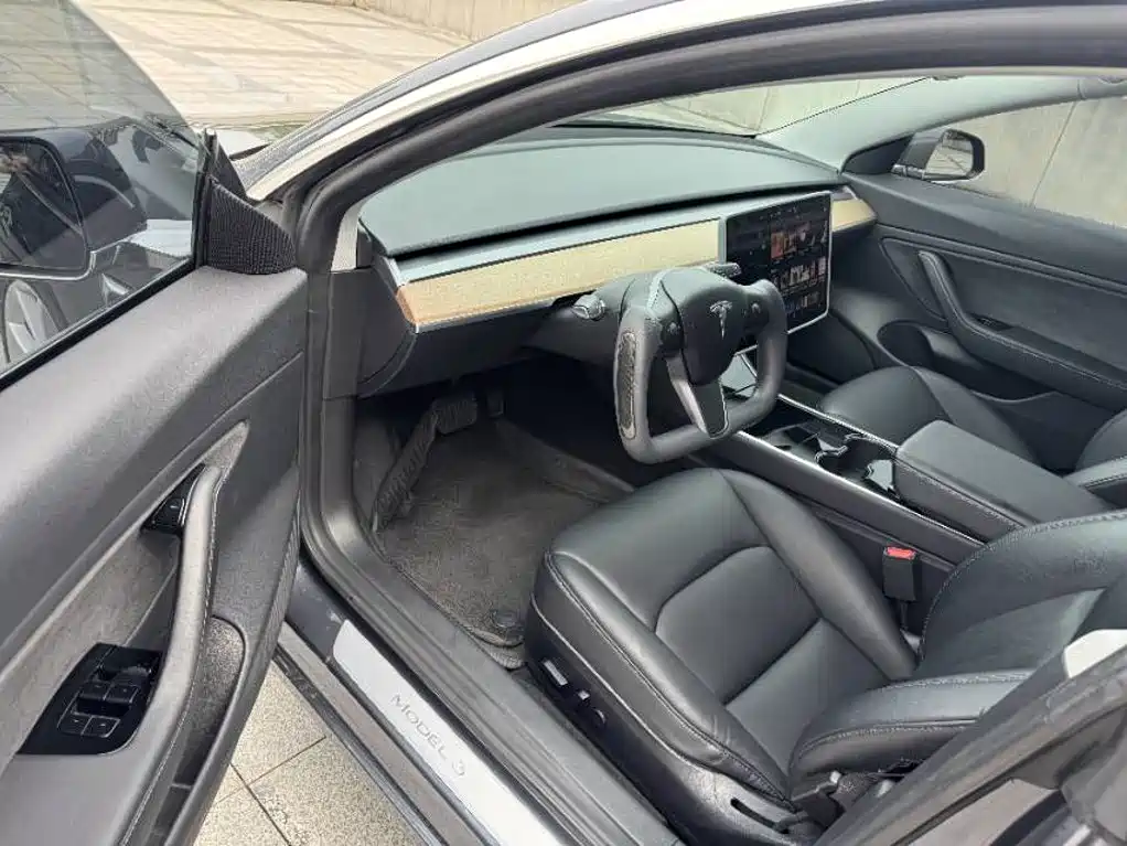 Tesla Model 3 (Import) 2019 2019 Long Range All-Wheel Drive Edition