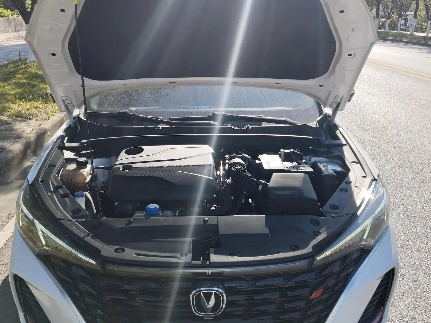 Фото 3 - Changan Eado