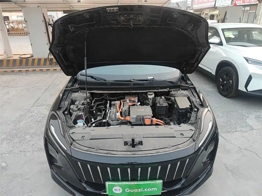 Hongqi E-QM5 2024 560km PLUS фото 20