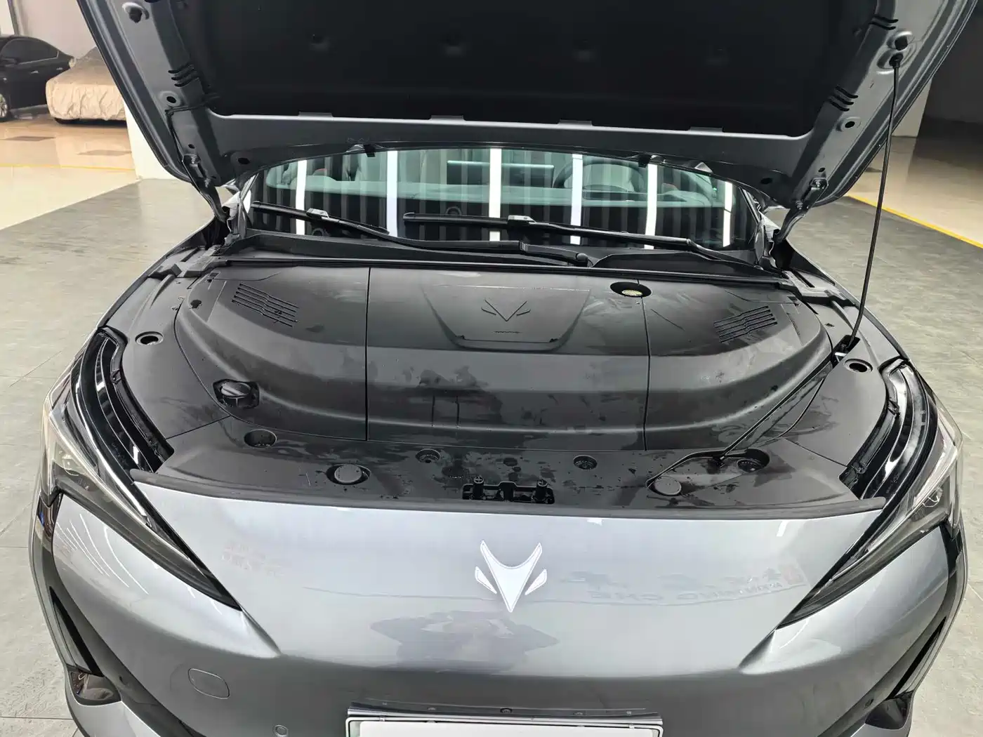 ARCFOX EXTREME FOX POLAR FOX ALPHA S5