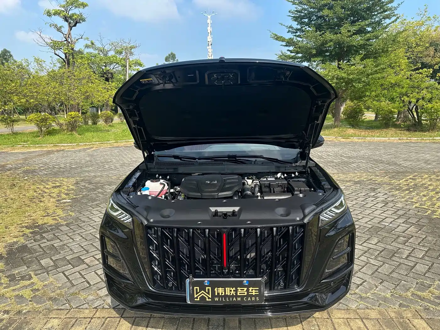 Hongqi HS5 2026 2026 2.0T 2WD Mystic Shadow Edition