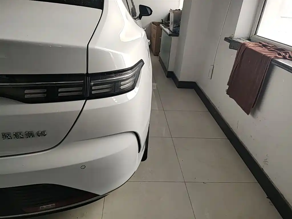 BYD Destroyer 05 2023 Champion Edition DM-i 55KM Luxury фото 8
