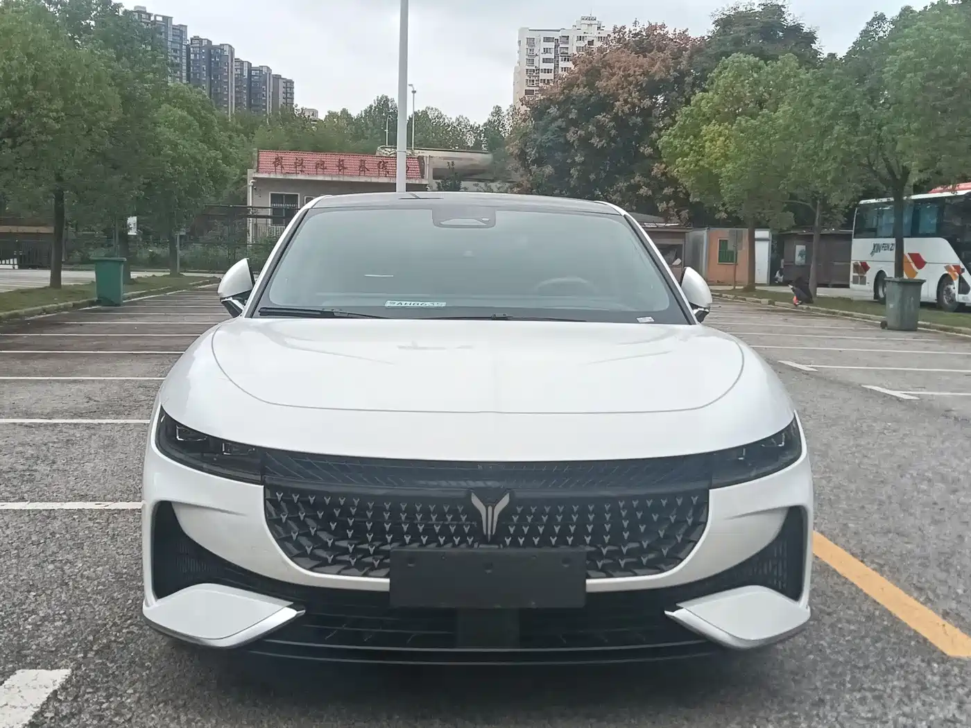 Voyah Passion 2025 2024 PHEV AWD Ultra Long Range Flagship
