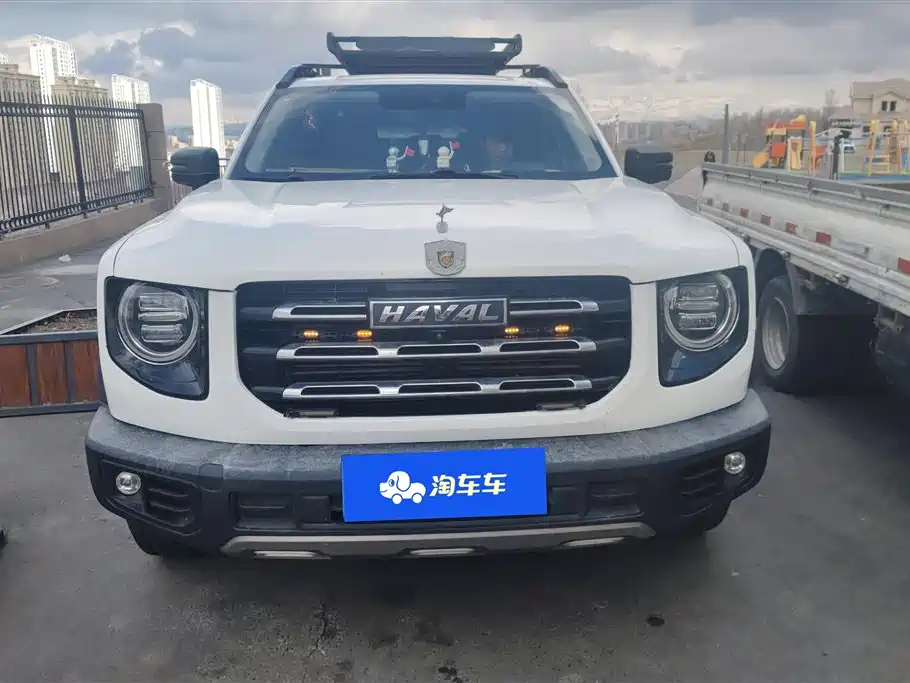 HAVAL BIG DOG