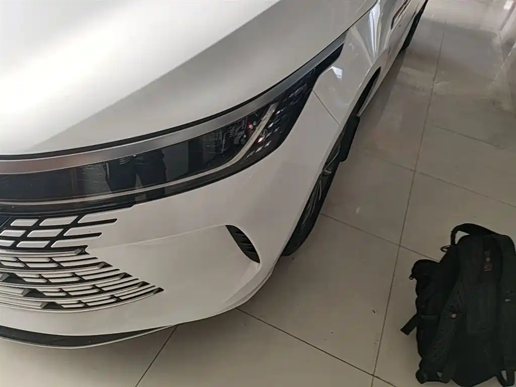BYD Destroyer 05 2023 Champion Edition DM-i 55KM Luxury фото 24