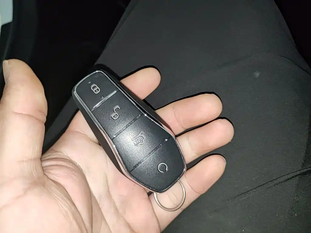 BYD Destroyer 05 2023 Champion Edition DM-i 55KM Luxury фото 9