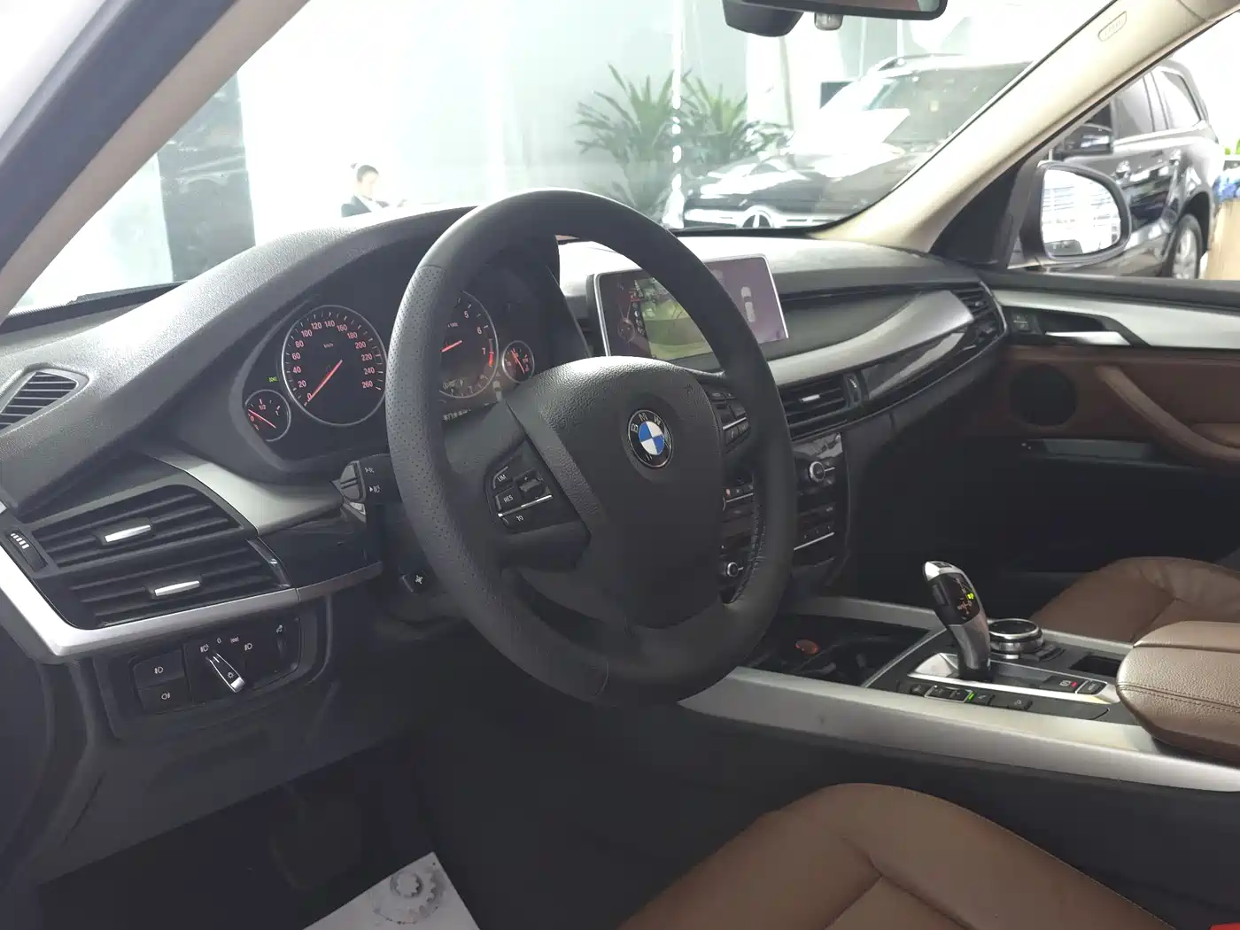 BMW X5 (Import) 2014 xDrive35i Elegance фото 10