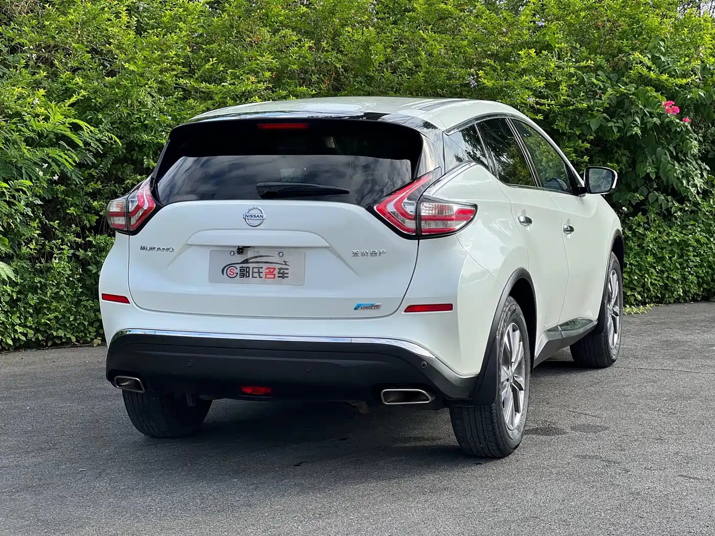 Nissan Murano 2019 2019 2.5L XL 2WD Smart Connect Luxury Edition (China VI)