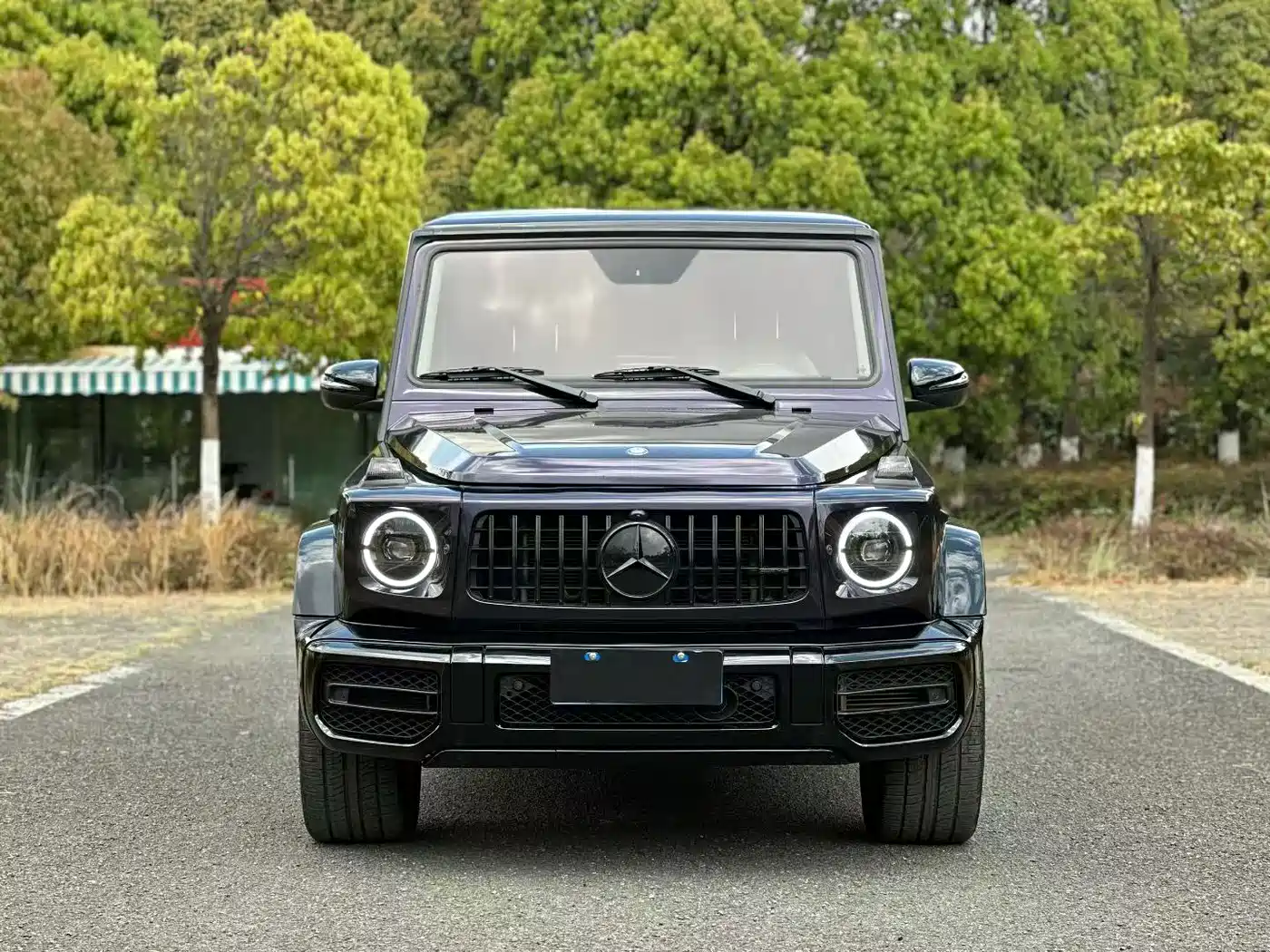Mercedes-Benz G-Class 2017 G 500 фото 2