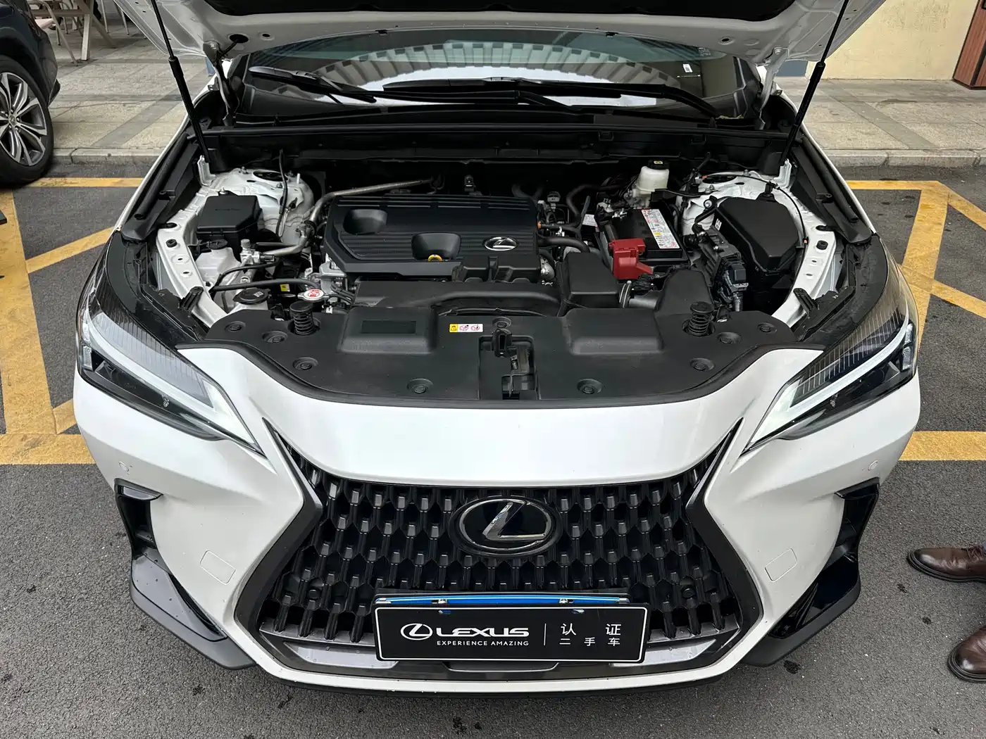 Lexus NX 2024 260 FWD Innovation Edition фото 4
