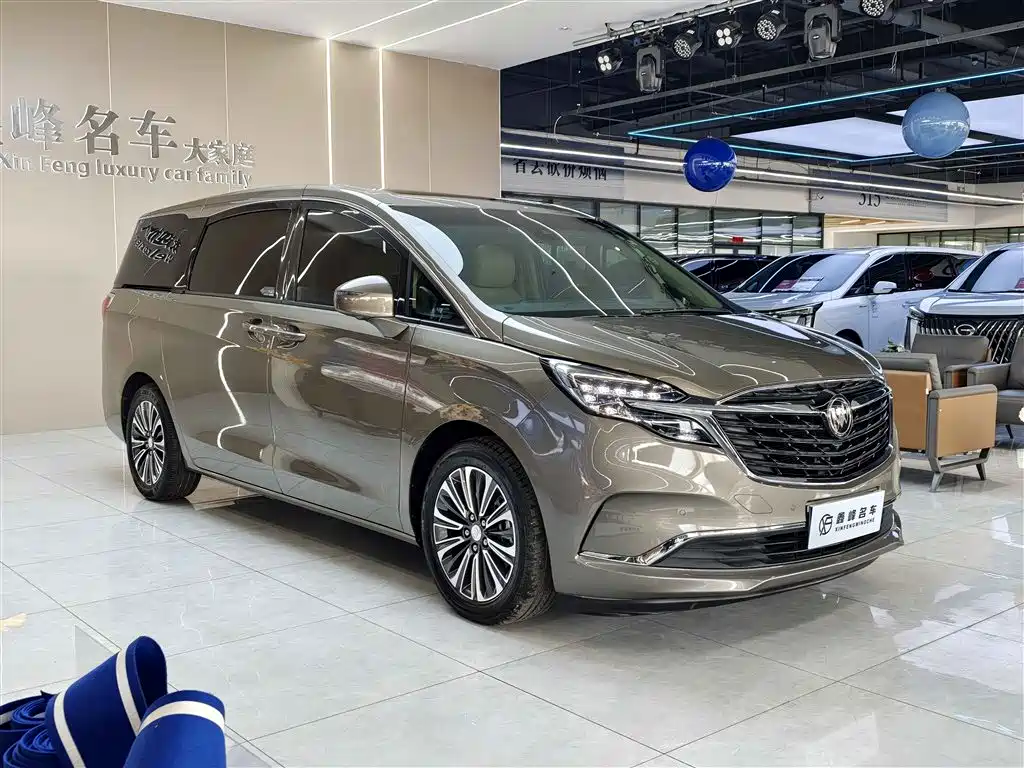 Buick GL8 2021 ES Landlord 653T Luxury фото 3