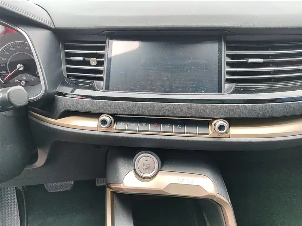 Haval H6 2020 1.5GDIT Automatic Platinum Champion Edition фото 13