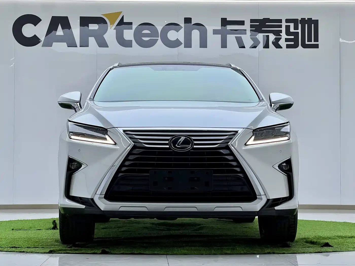 Lexus RX 2016 300 4WD Elegance Edition (China V) фото 7
