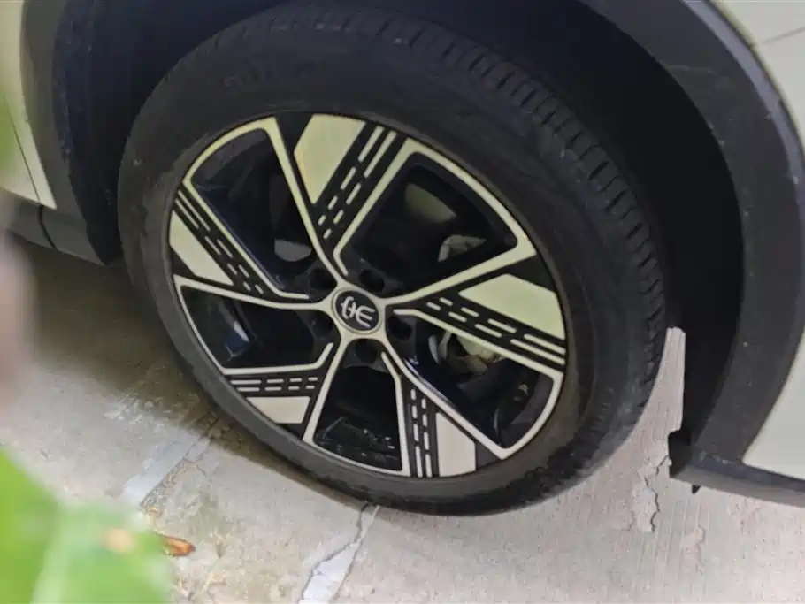 BYD Song Pro New Energy 2024 Glory Edition DM-i 110KM Excellence фото 6